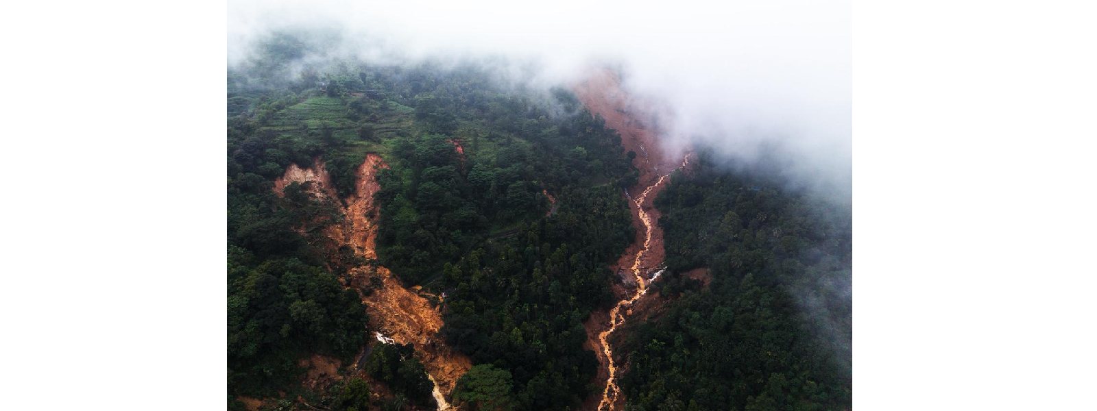 ආපදාවෙන් සිදුවූ පරිසර හානිය සොයා බැලීමට කමිටුවක්